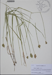 000185672-thumbnail.jpg