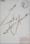 000185760-thumbnail.jpg