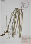 000185828-thumbnail.jpg