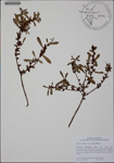 000185928-thumbnail.jpg