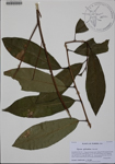 000186018-thumbnail.jpg