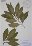 000186045-thumbnail.jpg