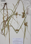 000186048-thumbnail.jpg