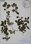 000186124-thumbnail.jpg