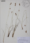 000186146-thumbnail.jpg
