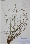 000186176-thumbnail.jpg