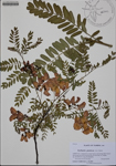 000186177-thumbnail.jpg