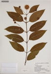 000186191-thumbnail.jpg