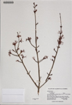 000186214-thumbnail.jpg