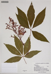 000186220-thumbnail.jpg