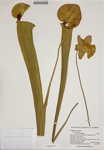 000186225-thumbnail.jpg