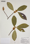 000186256-thumbnail.jpg
