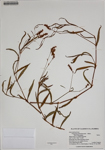 000186336-thumbnail.jpg