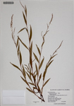 000186337-thumbnail.jpg