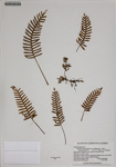 000186341-thumbnail.jpg