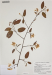 000186360-thumbnail.jpg