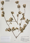 000186362-thumbnail.jpg