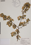 000186363-thumbnail.jpg
