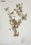 000186364-thumbnail.jpg
