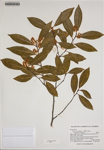 000186373-thumbnail.jpg