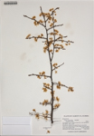 000186374-thumbnail.jpg