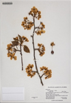 000186381-thumbnail.jpg