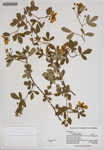 000186383-thumbnail.jpg