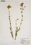 000186592-thumbnail.jpg