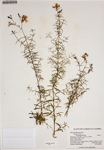 000186594-thumbnail.jpg