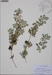 000186655-thumbnail.jpg
