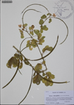 000186673-thumbnail.jpg