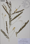 000186695-thumbnail.jpg