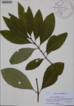 000186768-thumbnail.jpg