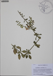 000186770-thumbnail.jpg