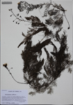000186819-thumbnail.jpg