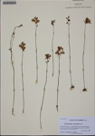 000186833-thumbnail.jpg
