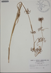 000186837-thumbnail.jpg