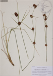 000186846-thumbnail.jpg