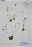 000186970-thumbnail.jpg