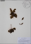 000186976-thumbnail.jpg