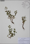 000186980-thumbnail.jpg