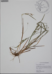 000187028-thumbnail.jpg