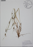 000187033-thumbnail.jpg