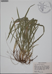 000187036-thumbnail.jpg