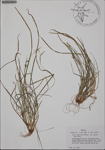 000187063-thumbnail.jpg