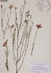 000187090-thumbnail.jpg