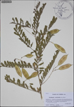 000187139-thumbnail.jpg