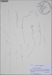 000187144-thumbnail.jpg