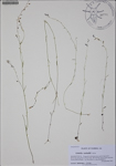 000187219-thumbnail.jpg
