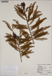 000187231-thumbnail.jpg